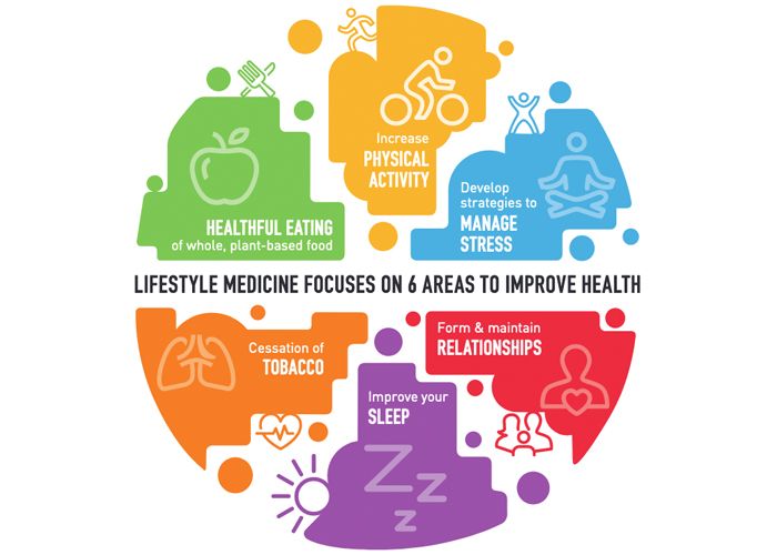 6 pillars of lifestyle medicine