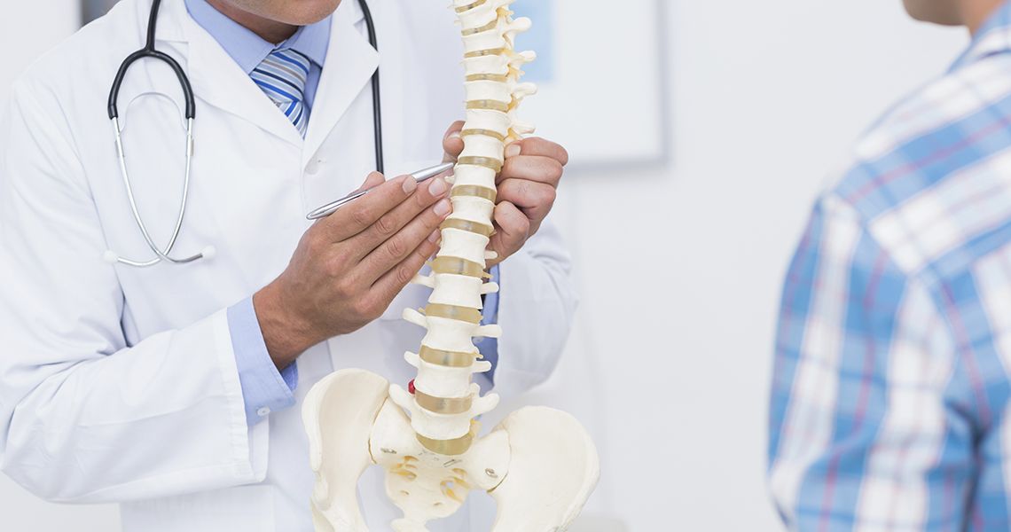 Doctor pointing to a model of a spine