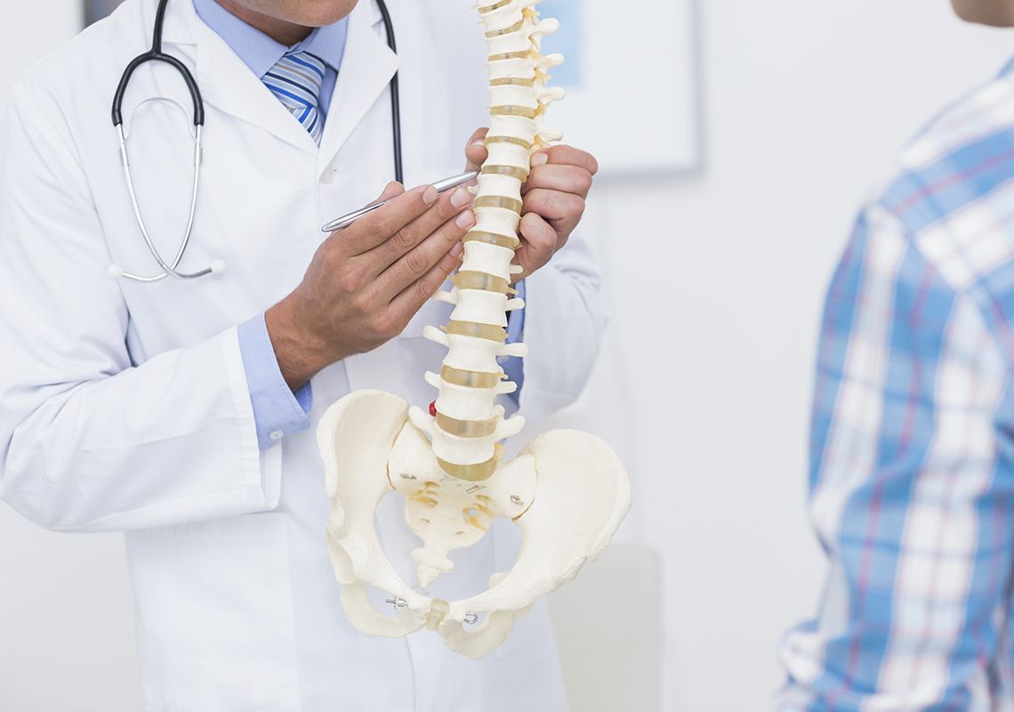 Doctor pointing to a model of a spine