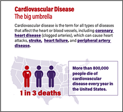 Diagram explaining the The big Umbrella of CAD