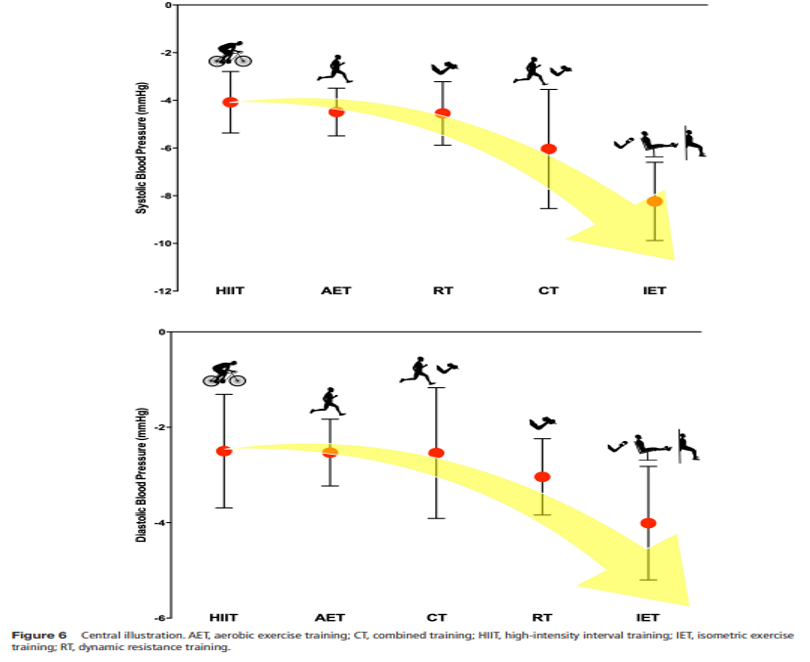 AET, aerobic exercise training; CT, combined training; HIIT, high-intensity interval trainingl IET, isometric exercise training; RT, dynamic resistance training
