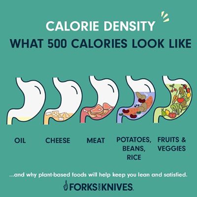 Calorie Density diagram