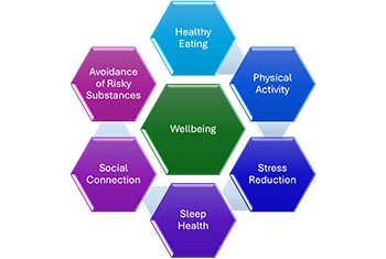Diagram of wellbeing